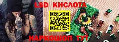 шишки Кандалакша