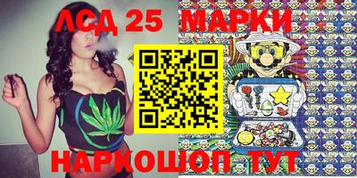 шишки Кандалакша