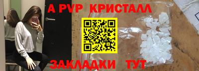 шишки Кандалакша