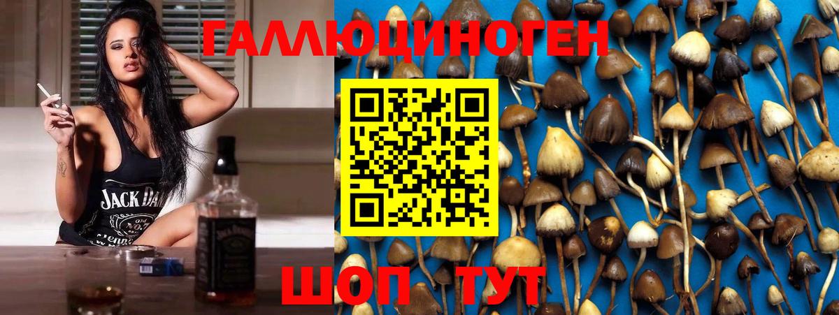 Карасук  Галлюциногенные грибы мицелий  где купить наркотик  Вход с VPN 