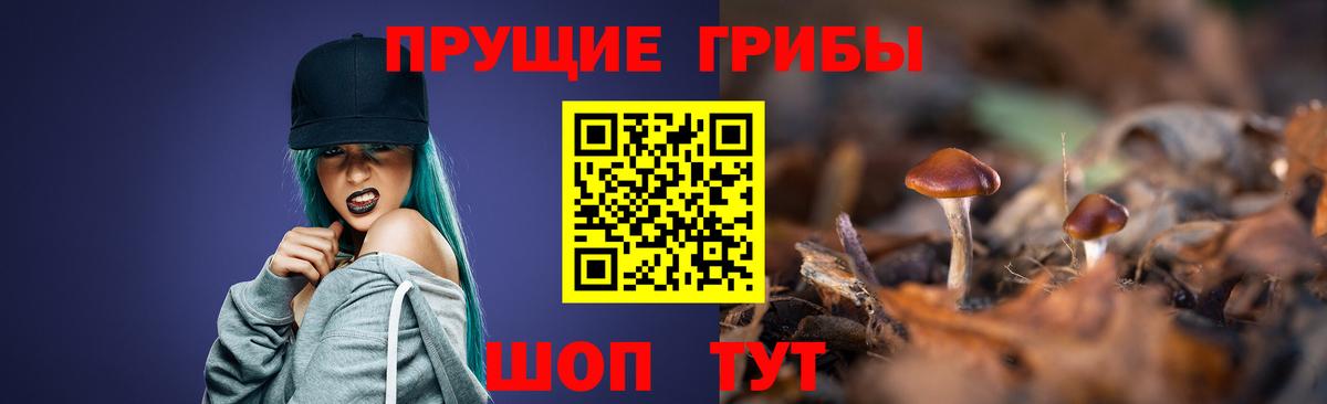 Галлюциногенные грибы Magic Shrooms Карасук